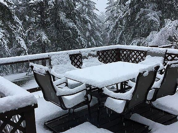 Snowmageddon 2019