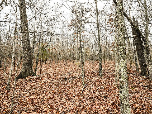 5th image of 0 State Rte E