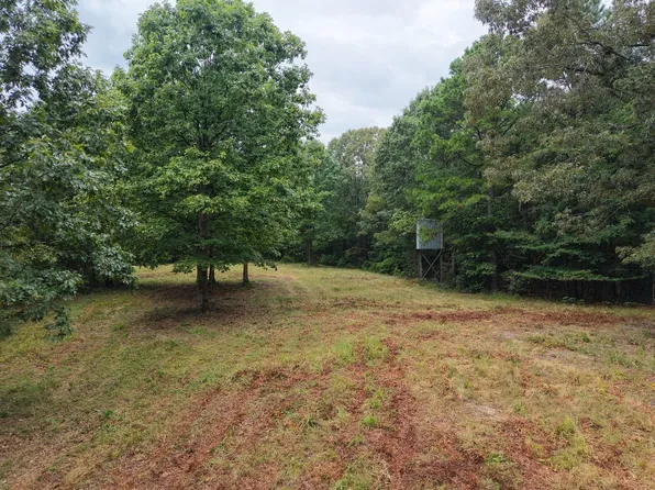 Polk Rd #6, Cove, AR 71937