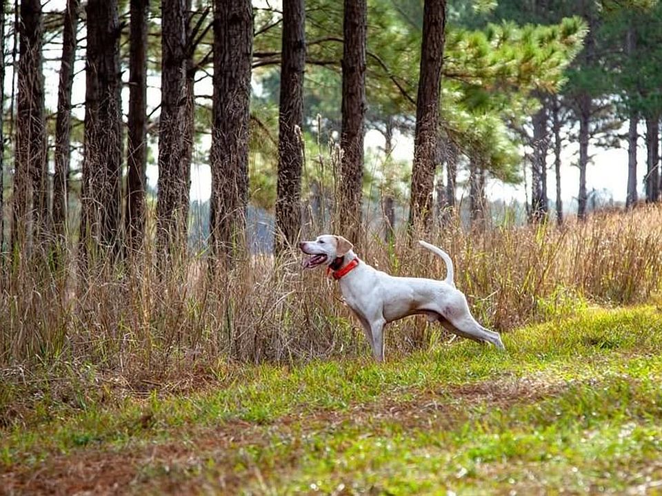 527576823 1233732375434214 7161860206217448046 N