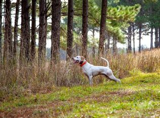 Buddy Boy Rd, Fort Davis, AL 36031