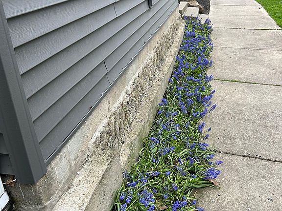 Newly installed perennial flowers have recently bloomed. Perennials were deliberately chosen to be low maintenance; landlord responsible for landscaping.