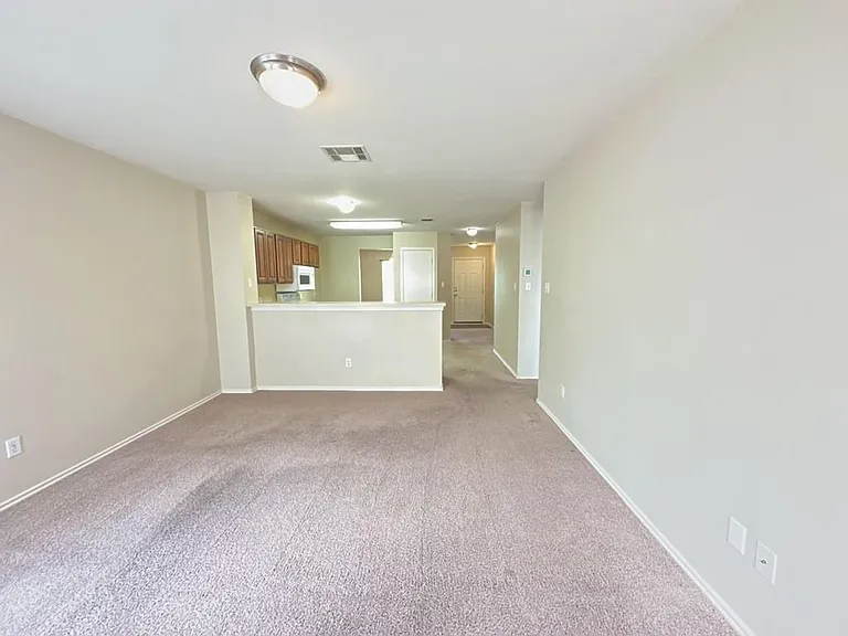 1000 Bluff Meadow Cv — Photo 7