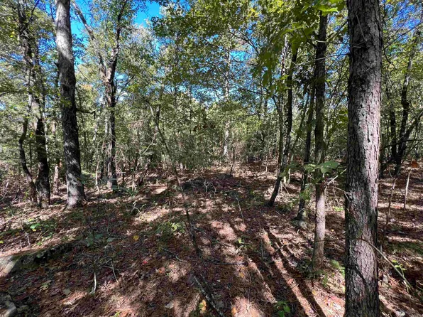 0 Floral Rd #-87, Concord, AR 72523