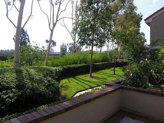 View from Front Patio