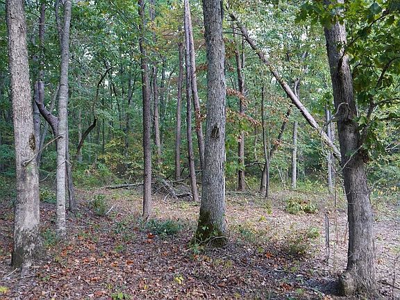5th image of 1591 Overlook Dr