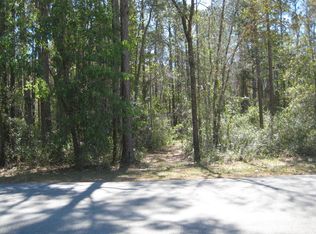 4687 Gopher St, Middleburg, FL 32068