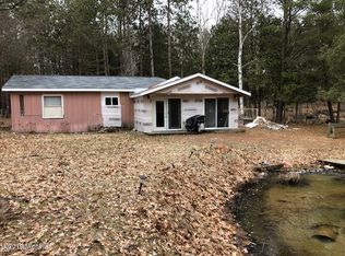 9747 W 12 Mile Rd, Irons, MI 49644