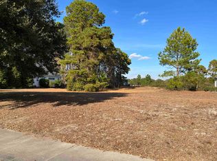 1020 Spoonbill Dr, Conway, SC 29526