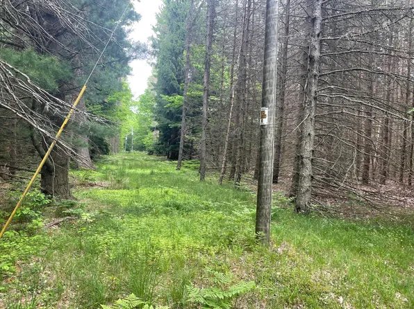 Silver Lake Dr, Shelby, MI 49455