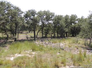 234 Coneflower Dr, Spring Branch, TX 78070