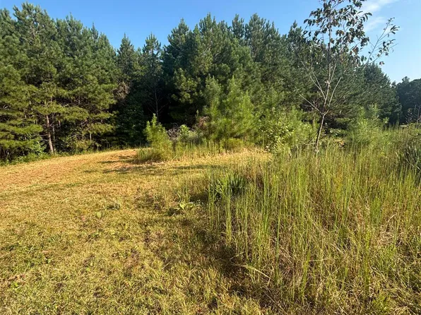 277 County Road 285, Muscadine, AL 36269