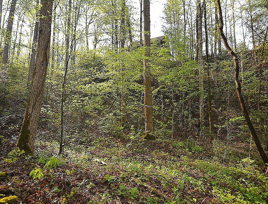1st image of 14 Bause Watson Ln