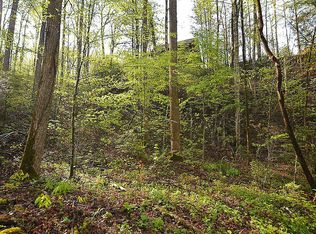 14 Bause Watson Ln, Gatlinburg, TN 37738