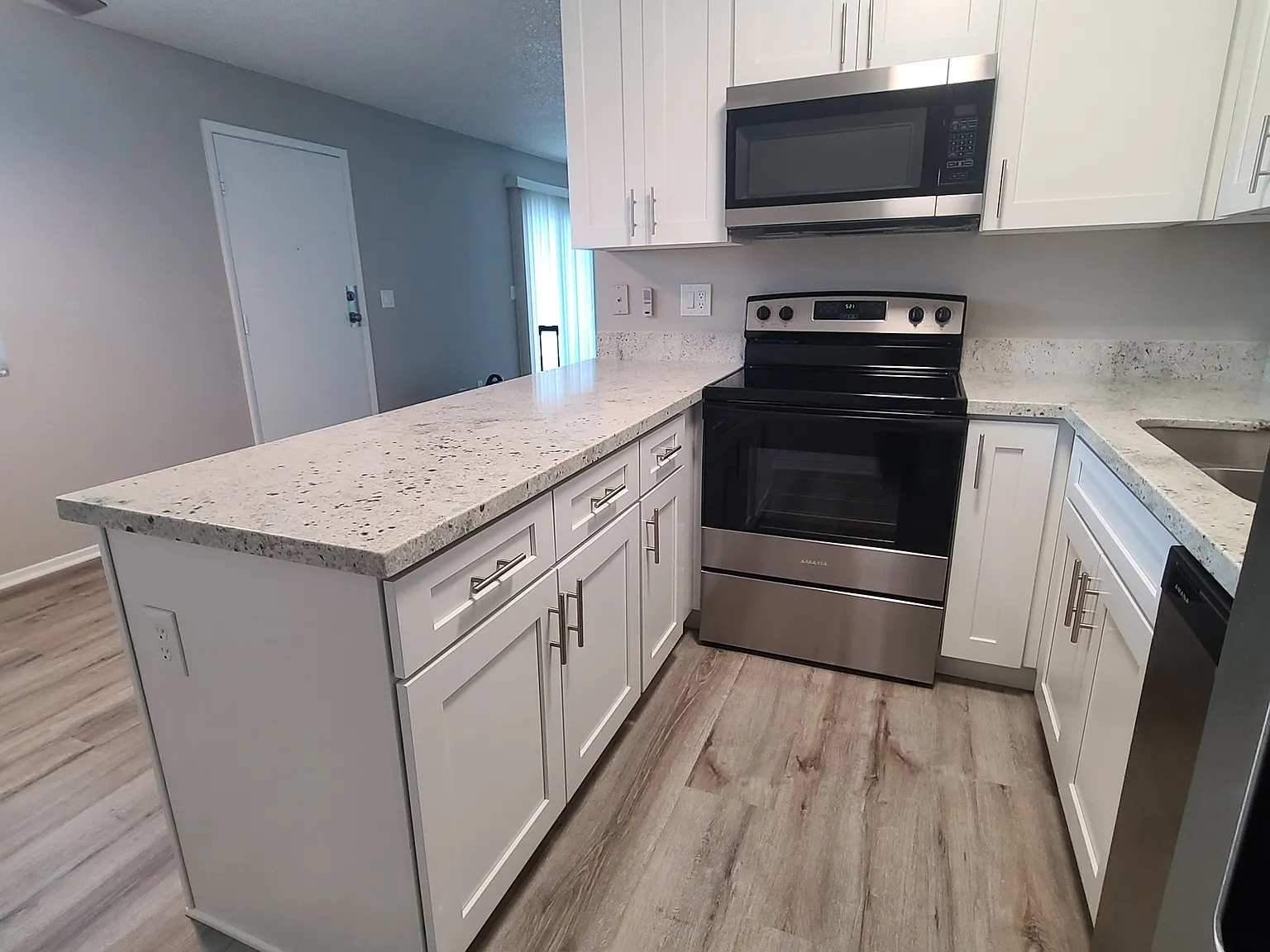 2 bed, 980 sqft, $1,350 — Photo 3