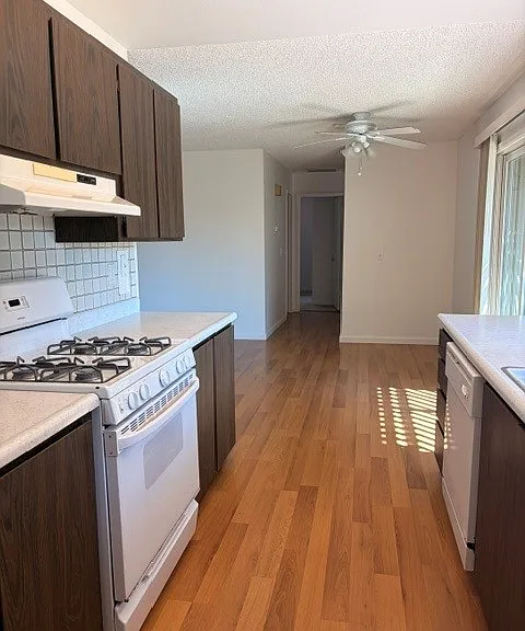 545 Saint Mary Dr — Photo 4