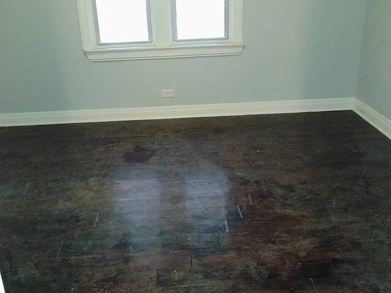 7521 S Saint Lawrence Ave — Photo 4
