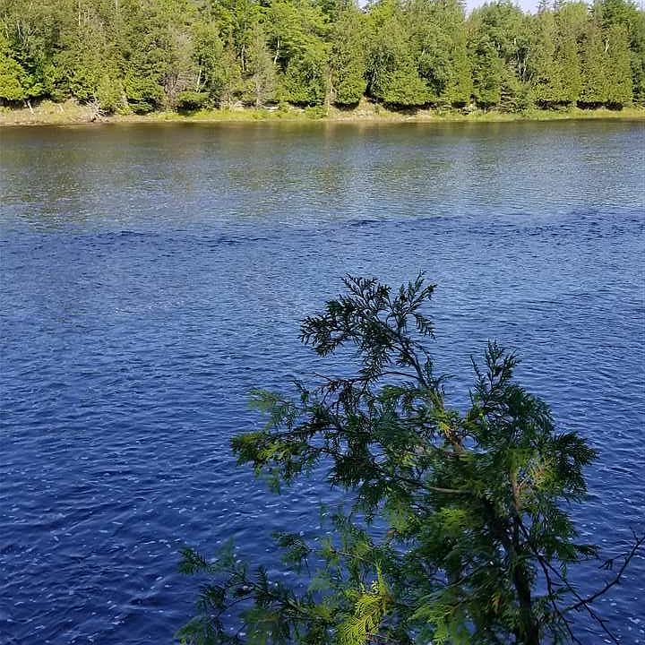 1st image of 10961 S River Ln