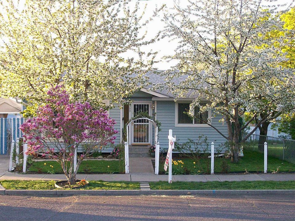 Cherry trees, Purple Magnolia Tree