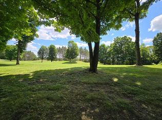 LOT 23 Cubs Way, Vanderbilt, MI 49795