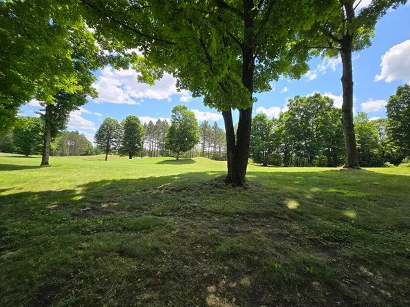 28 & 29 Cubs Way, Vanderbilt, MI 49795