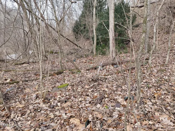 4266 Miser Station Rd, Louisville, TN 37777