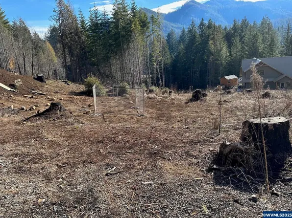 110 Mackey Ln E, Detroit, OR 97342