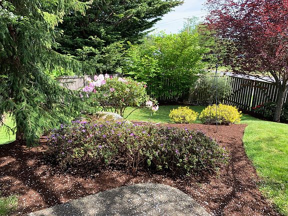 Landscaped front yard