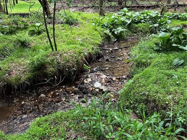 0 Appleton Rd, Cana, VA 24317