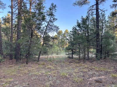 120 Skyland Blvd, Tijeras, NM, 87059