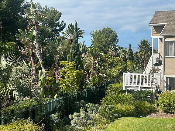 The view from the front porch