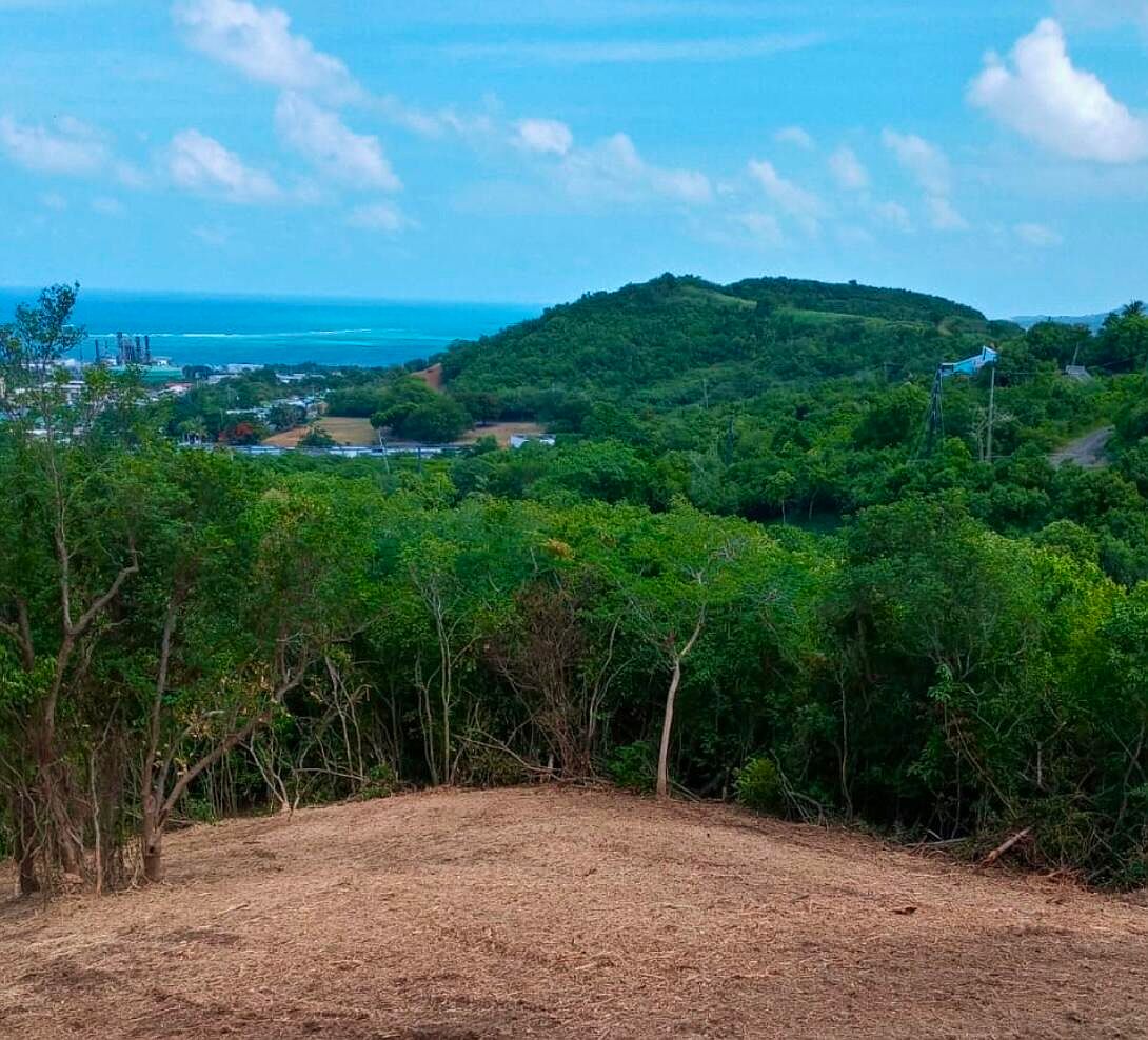 37 Beeston Hill CO, Christiansted, VI 00820 MLS 23532 Zillow