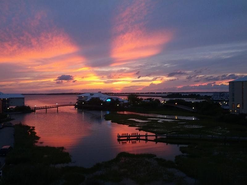 Back Deck View