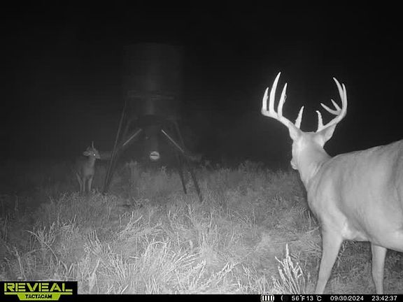 5th image of Cavalry Rd