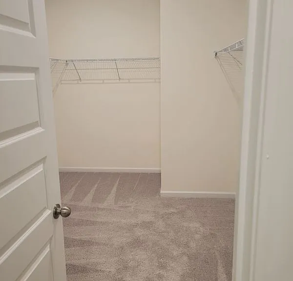 113 Witter Way — Photo 10