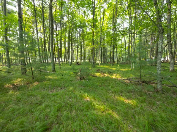 Gilkey Lake Rd, Crivitz, WI 54114