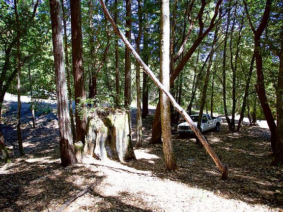 4th image of 2371 Perch Drive