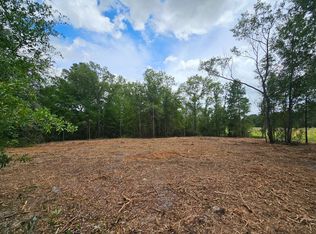 220th Point Lots #11&12, O'Brien, FL 32071