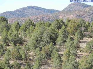 Fleming Tank Road, Silver City, NM 88061