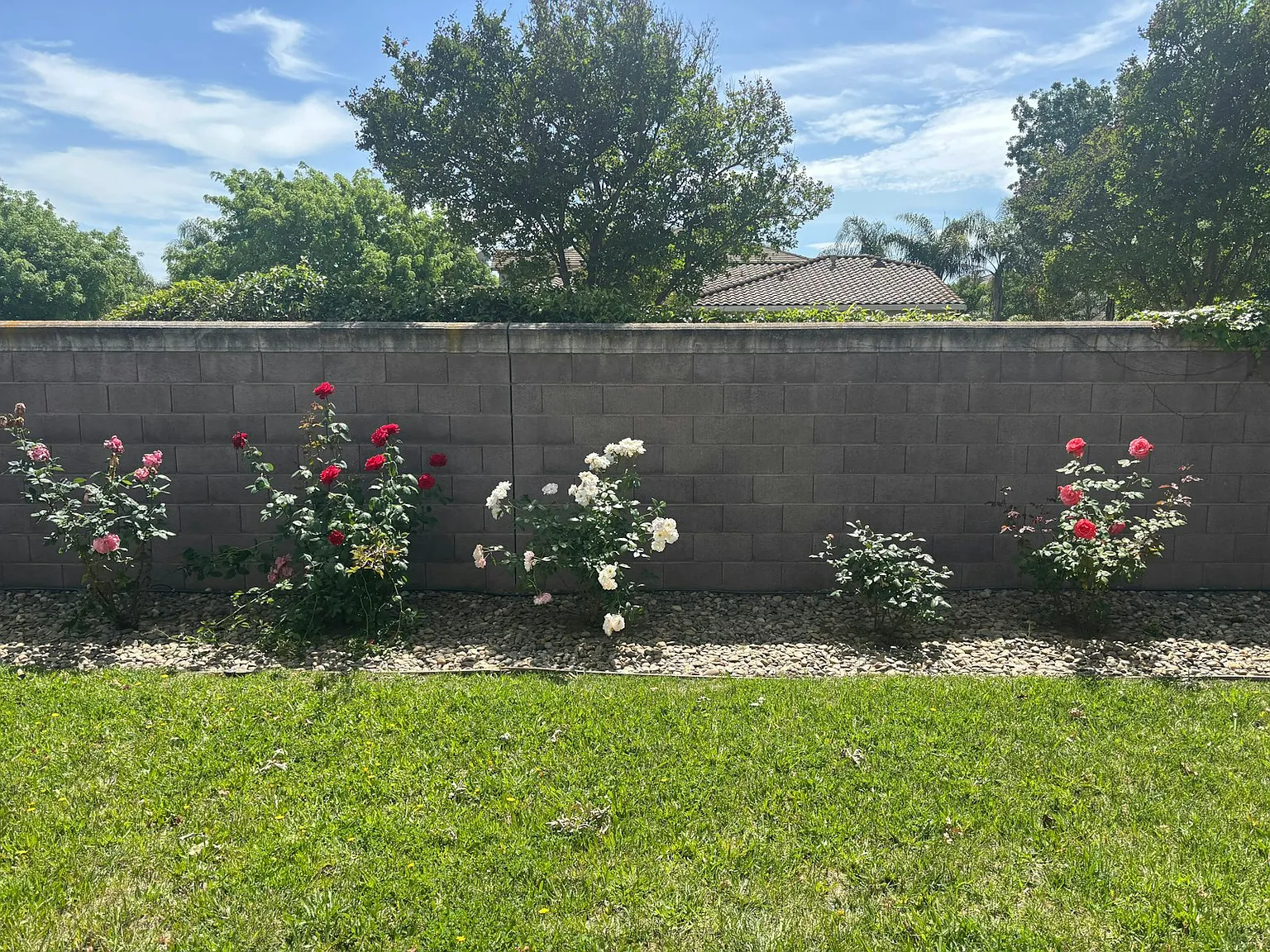 10294 Stoecker Way — Photo 4
