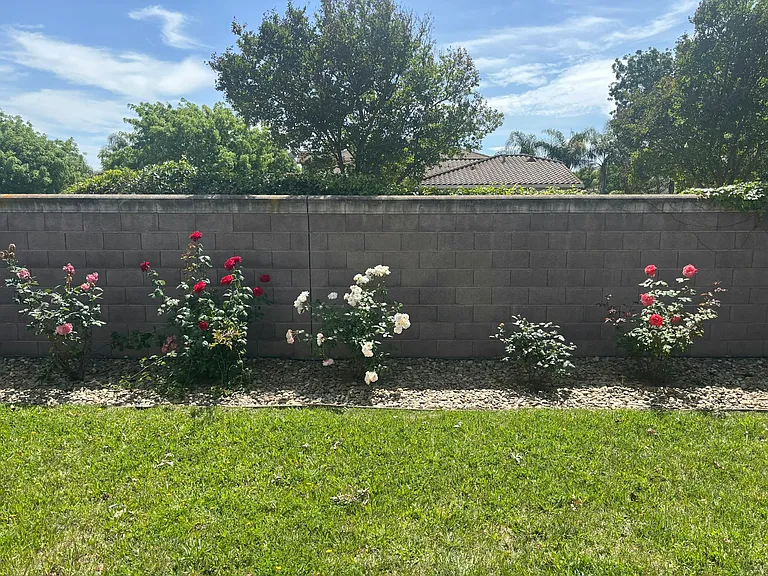 10294 Stoecker Way — Photo 4