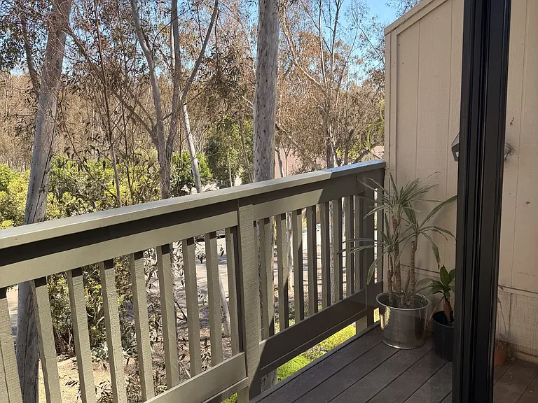 10359 Caminito Covewood — Photo 25