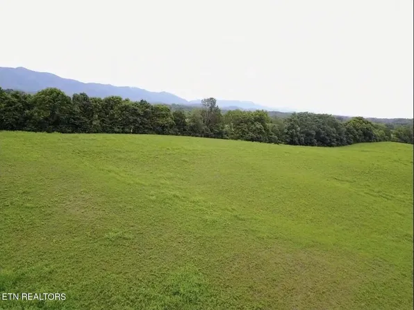 41 Jeffries Hollow Rd Lot 4R-1, Walland, TN 37886