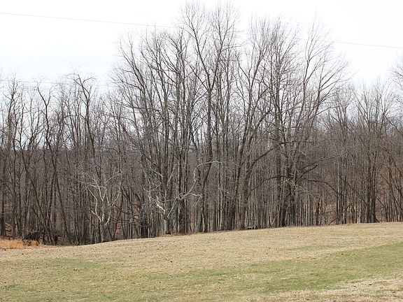 5th image of 35 Glenmil Ln