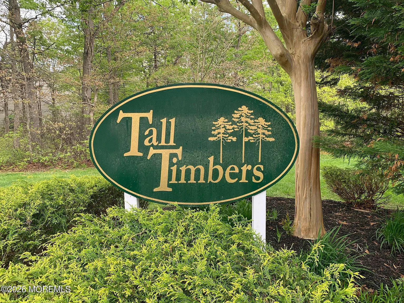 1 bed, 791 sqft, $1,650 — Photo 2