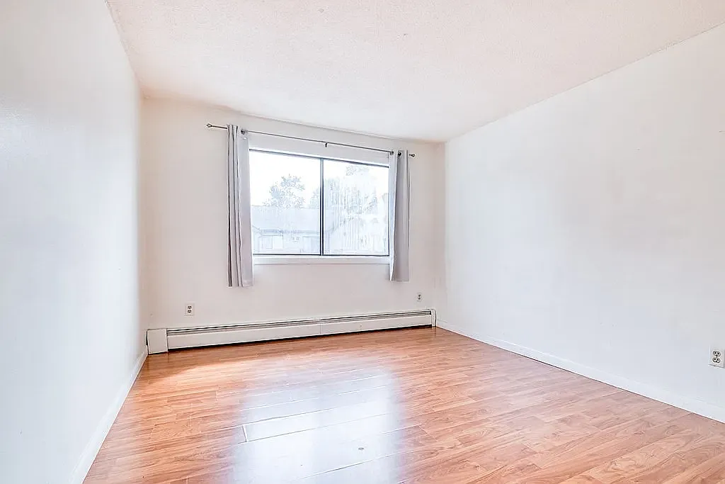 2 bed, 915 sqft, $2,200 — Photo 3