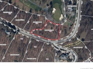 119 May Apple Way #206, Landrum, SC 29356