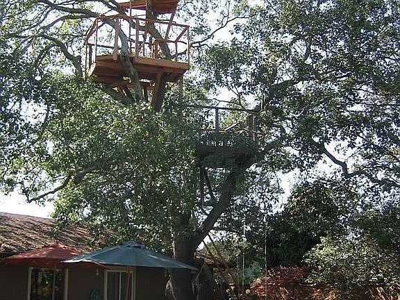 Three-story child safe treehouse