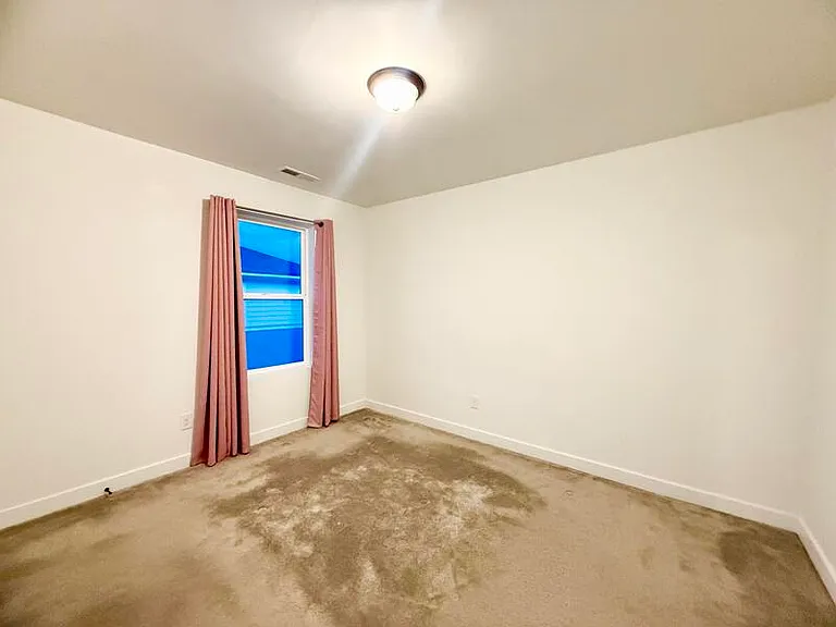 10539 S Liv Way #S — Photo 14