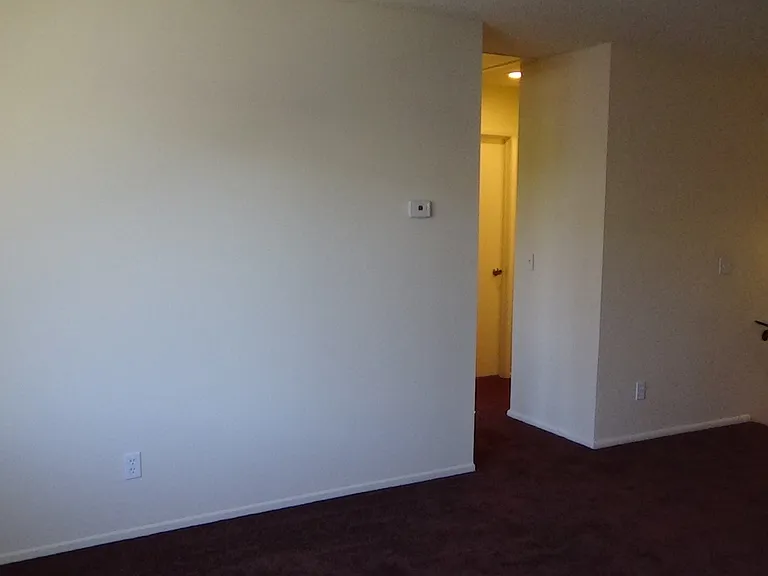 704 Summerwood Ln #3 — Photo 22